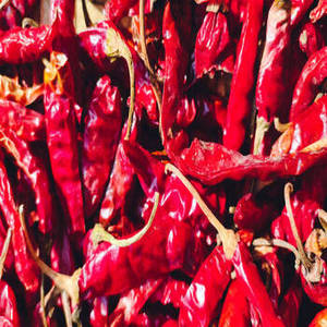 Chile Rojo Entero Indio, Especia Seca Cruda de Primera Calidad, Producto para Cocina Tradicional, Preparación de Alimentos Industrial, Venta al por Mayor Global, Gujarat - Product Image 6