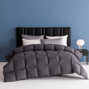 Couette matelassée 100% polyester hypoallergénique respirante pour l'automne et l'hiver, taille Queen, lavable en machine, 75D/36F - Product Image 1