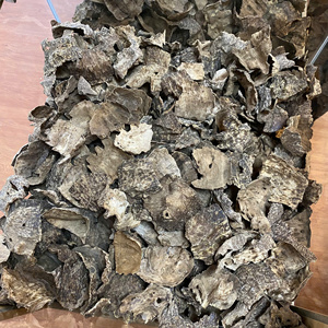 Vietnam Cultivated <b>Agarwood</b> Chips, Medium Resin, Aromatic Wood For <b>Incense</b> Grade Oud Premium Vietnam <b>Agarwood</b> Chips - Product Image 4