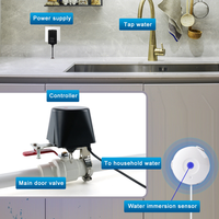 Pengontrol Katup Air dan Gas ZigBee Rumah Pintar, Kontrol Suara Nirkabel, Timer Universal, Manipulator Katup WiFi