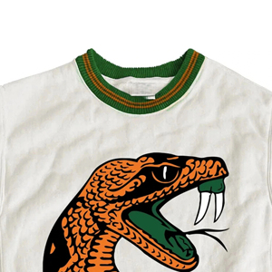 Sudadera de Cuello Redondo con Capucha de Felpa 100% Algodón de la Universidad Agrónoma y Mecánica de Florida (FAMU), Bordada, Otoño Invierno, Logotipo Personalizado - Product Image 2