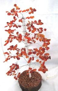 De piedras preciosas de ágata curación jaspe rojo 300 piezas de fichas árbol - Product Image 2