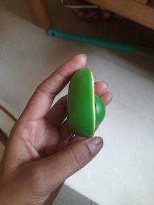 Pelota de juguete de hierba gatera de aguacate Premium para gatos, juguete interactivo para masticar y jugar, hierba gatera de hierbas naturales 100%, calidad de exportación OEM ODM - Product Image 5