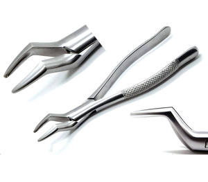 Dental Extraction Forceps Stainless Steel Best Price With Customized Size Dental Extracting Forceps By <b>Blush</b> Surgical - Product Image 1