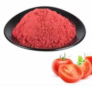 Poudre de tomate de qualité supérieure, saine et très savoureuse, pour les currys et les sauces, provenant d'un exportateur indien au meilleur prix. - Product Image 4