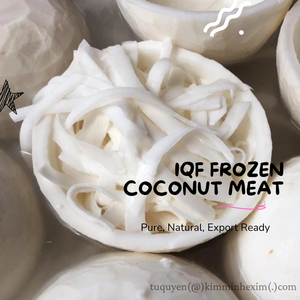 เนื้อมะพร้าวแช่แข็งแบบแพ็คสูญญากาศคุณภาพพรีเมียมจากเวียดนาม สำหรับการแปรรูปอาหาร (แบบทั้งลูก/แบบแผ่น/แบบหั่นเต๋า/แบบบด) - Product Image 2