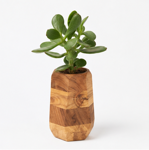 Wholesale Handmade Geometric <b>Wooden</b> Succulent <b>Planter</b> Indoor Flower Pot for Office Desk & Home Decor Solid Wood <b>Small</b> Plant Pot - Product Image 1