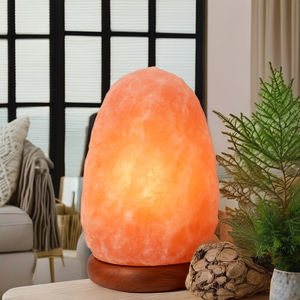 Lampe au sel de l'Himalaya sculptée à la main de haute qualité cristal de roche naturel décoration relaxante saine OEM ODM vente en gros en vrac remis à neuf - Product Image 1