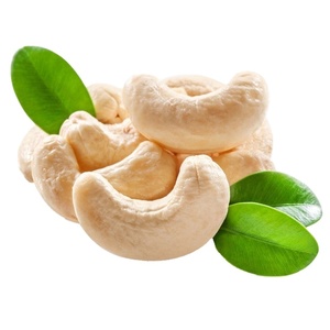 เครื่องปลอกเม็ดมะม่วงหิมพานต์แบบใช้มือเครื่องผลิตเม็ดมะม่วงหิมพานต์แบบ W320จากเวียดนาม - Product Image 4