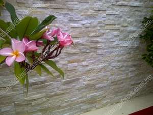 Panneaux de grand livre en marbre jaune crème de qualité supérieure revêtement en pierre naturelle imperméable pour villa moderne appartement jardin intérieur/extérieur - Product Image 5