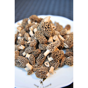 Morchelles sauvages séchées East Naturhus, produit naturel séché pour des recettes culinaires saines - Product Image 2