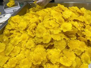 Tranches d'ananas séchées douces anneaux naturel sain Tropical Snack Vietnam usine OEM en vrac - Product Image 5