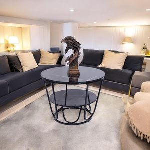 Mesa de Centro Moderna Negra con Estante de Almacenamiento |   Mesa de Centro Redonda para Sala de Estar y Decoración del Hogar |   Elegante Marco Metálico - Product Image 1