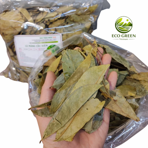 Feuilles de corossol séchées naturelles pour mélange de thé, ingrédient botanique de Graviola pour infusion à base de plantes, en vrac, OEM, usine du Vietnam - Product Image 5
