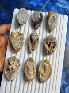 100% Cuarzo Fossilizado Natural Cristalizado Druzy en Colores, Cabujón de Gema Brillante, Venta al por Mayor para Distribuidores de Gemas, Jaipur ASHU GEMS - Product Image 2