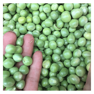 Petits pois surgelés IQF, fabriqués à partir de petits pois verts frais, pour la préparation de soupes, de plats sautés et de repas, transformés au Vietnam. - Product Image 1