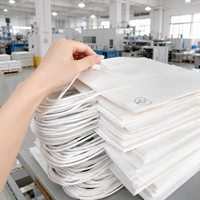 Bolsas de Compra de Papel Kraft Blanco Reciclable con Asas e Impresión de Logotipo Personalizado para Empaquetado Minorista Directo de Fábrica