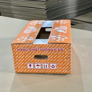 Caja de Cartón Corrugado Resistente, Ecológica y Hecha con Materiales Reciclados, para Fruta Fresca de Pomelo |   Exportación Agrícola - Product Image 2