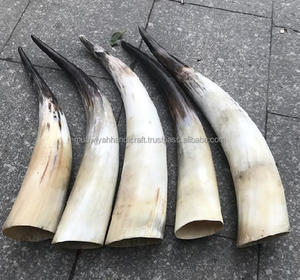 High Quality Handcrafted <b>Drinking</b> <b>Standing</b> Horn for Restaurants Hotels Bars Use <b>Drinking</b> Horn From India - Product Image 1