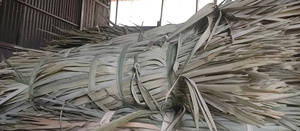 Veines et fibres de palmier séchées brutes pour la fabrication de tapis, matériau naturel durable pour l'artisanat, feuilles de palmier séchées - Product Image 5