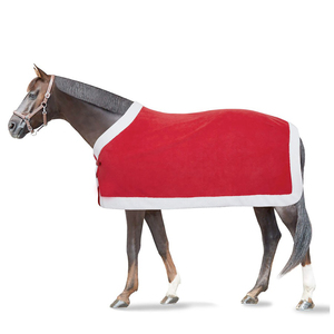 Couverture d'hiver chaude pour cheval à prix abordable, fabriquée au Pakistan, couverture pour cheval personnalisée - Product Image 1