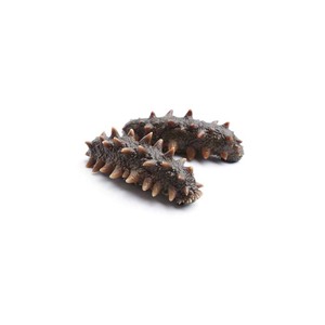 Concombre de mer séché biologique (variété d'excréments d'âne congelés) - Fournisseurs en gros - Grade A - Nutritif - Product Image 2