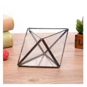 Premium <b>Frame</b> Metal Terrarium Glass <b>Plant</b> Holder Decorative Indoor Garden Display Box Home Decor - Product Image 3