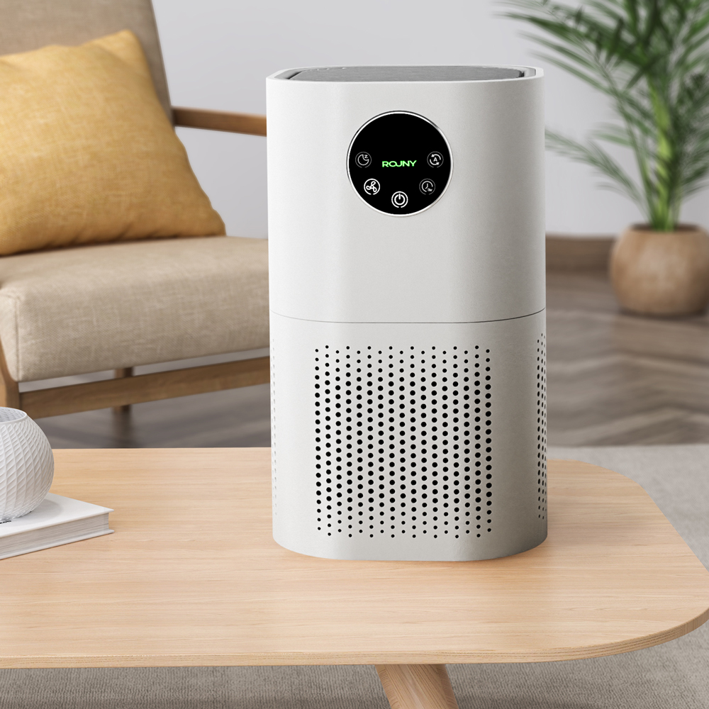 Smart Air Purifier for Home Allergies Pets Hair in Bedroom H13 True HEPA Filter 25dB Filtration System Cleaner Odor Eliminators