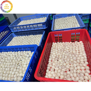 Litchis surgelés de qualité supérieure IQF sans sucre ajouté, fruits tropicaux premium, emballés sous vide, export en vrac, vente en gros directe d'usine - Product Image 6