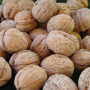 Fournisseur en gros de noix biologiques, noix brutes séchées, style de traitement varié, prix abordable - Product Image 2