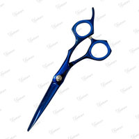 Ensemble de 2 ciseaux à cheveux en acier inoxydable de qualité supérieure, pour usage domestique, kit de coiffure pour barbier, ciseaux à effiler et à couper, pour droitiers, revêtement plasma bleu