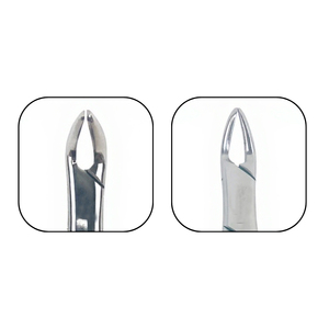 Ensemble de forceps d'extraction dentaire universels pour dents supérieures et inférieures, en acier inoxydable, avec poignée moletée - Product Image 2