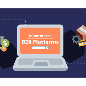 Client B2B Wholesale <b>Hub</b> UI UX Layout Web Architecture Responsive ECommerce Storefront Creation - Product Image 4