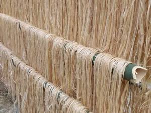 Cuerda de Fibra de Plátano Natural Ecológica de Vietnam, Longitud Personalizada, Diseño Moderno - Ms. Nancy de Viet Delta para Decoración Artesanal - Product Image 1