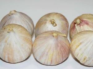 Ajo de un Solo Diente Premium – Natural, Ajo Individual de Alta Calidad // Mr.Tom - Product Image 6