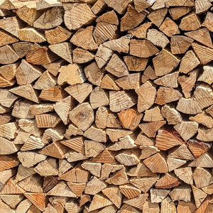 Madera de Calidad de Pino, Abeto, Fresno, Álamo, Roble, Abedul, Haya y Eucalipto en Venta - Product Image 5