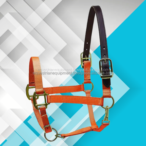 Ecuestre cazador verde cuero ajustable corona nailon caballo Halter PP ecológico logotipo personalizado accesorios para alfombras de caballo - Product Image 2