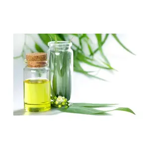 Excellent High Grade Best OEM Supply Bulk Price Food Additives Natural Leaves Eucalyptus Essential Oil at Factory Price