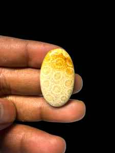 Coral Fósil Natural, Cabujón de Cristal Pulido, Gemas Minerales de Alta Calidad, Formas Mixtas, Materiales a Granel para la Fabricación de Joyería - Product Image 2