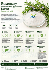 Hgo สารสกัดจากโรสแมรี่ (rosmarinus officinalis) (เกรดอาหาร) rosmarinic Acid 60% (สารสกัดมาตรฐาน) - Product Image 2