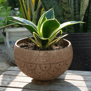 Offre Spéciale 2025 – Bol en Coque de Noix de Coco de Style Bohème Vietnamien, Couleur Naturelle, Pot de Fleurs Écologique et Durable pour Fêtes (Vente en Gros) - Product Image 3