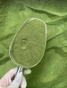 Suministro a Granel de Polvo de Algas Verdes, Materia Prima Natural de Plantas Marinas, Calidad de Exportación Profesional para Compradores Mayoristas Globales - Product Image 2
