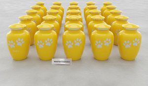 Urnes funéraires pour animaux de compagnie en métal noir de qualité supérieure, élégantes, durables, avec couvercle sécurisé, souvenir commémoratif pour les cendres de chiens et de chats, couleur personnalisée, double patte - Product Image 6