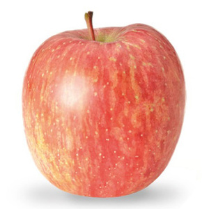 Pommes rouges Fuji fraîches et naturelles pour les acheteurs commerciaux, les chaînes d'épicerie et les marchés de fruits en gros - Product Image 5