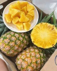 สับปะรดกระป๋องพรีเมียมจากเวียดนามในน้ำเชื่อม ผลไม้เขตร้อนพร้อมรับประทาน ขายส่ง เกรดอาหาร รับผลิตแบบ OEM แบรนด์ส่วนตัว - Product Image 1