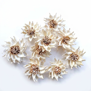 Fleurs séchées naturelles au charme rustique et léger, idéales pour les créations florales, la décoration intérieure, la fabrication de cadeaux, la décoration de mariage et le bricolage. - Product Image 1