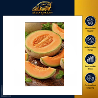Verse Muskmeloen Meloen Premium Kwaliteit Zoet Sappig Fruit voor Groothandel en Export Leveranciers