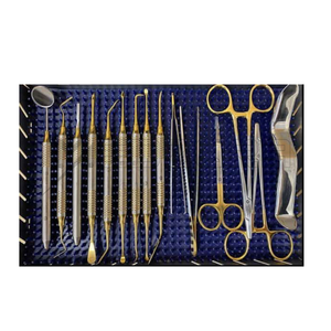 MEDZORA SURGICAL Kit de Instrumentos para Microcirugía Oral Dental, 15 Piezas, Manual, Estuche de Acero Inoxidable, Certificado CE Clase I - Product Image 1