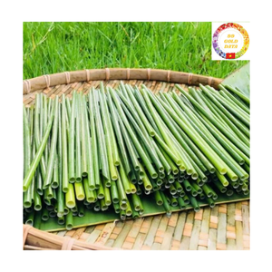 Organic Grass <b>Straws</b> | Natural Eco Friendly Material | Compostable <b>Disposable</b> | Bulk For Smoothie Juice Bar - Product Image 3
