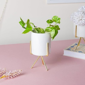 Metal Flower Vase Planter <b>Pot</b> with Iron Stand, <b>Pots</b> for Plants, Plant <b>Pots</b> for Home Decoration, <b>Succulent</b> <b>Pot</b>, Indoor Planter - Product Image 1